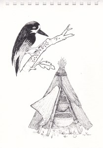 The acorn woodpecker stores in trees while California Indians traditionally stockpiled acorns over a couple of years in baskets secured in small bark-covered structures that allowed for good air circulation in the foggy coastal climate.