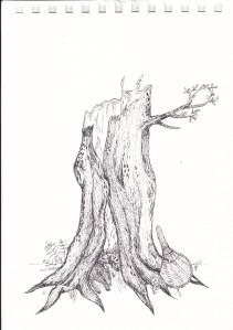 Seedbeaters are loosely woven baskets used to gather edible seeds, immature seeds were returned to the earth for another season