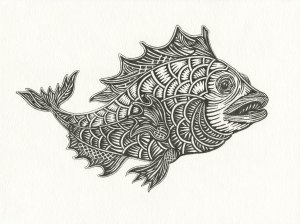 During recent rainstorm this fish came into view in full color, but I wanted to capture it while in black and white. Drawn by Meredith Eliassen