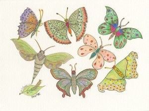 Butterflies 1