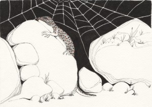 Drawing of legendary lizard of the Southwest as described by anonymous young lizard on October 14th, drawn by Meredith Eliassen, 2015.