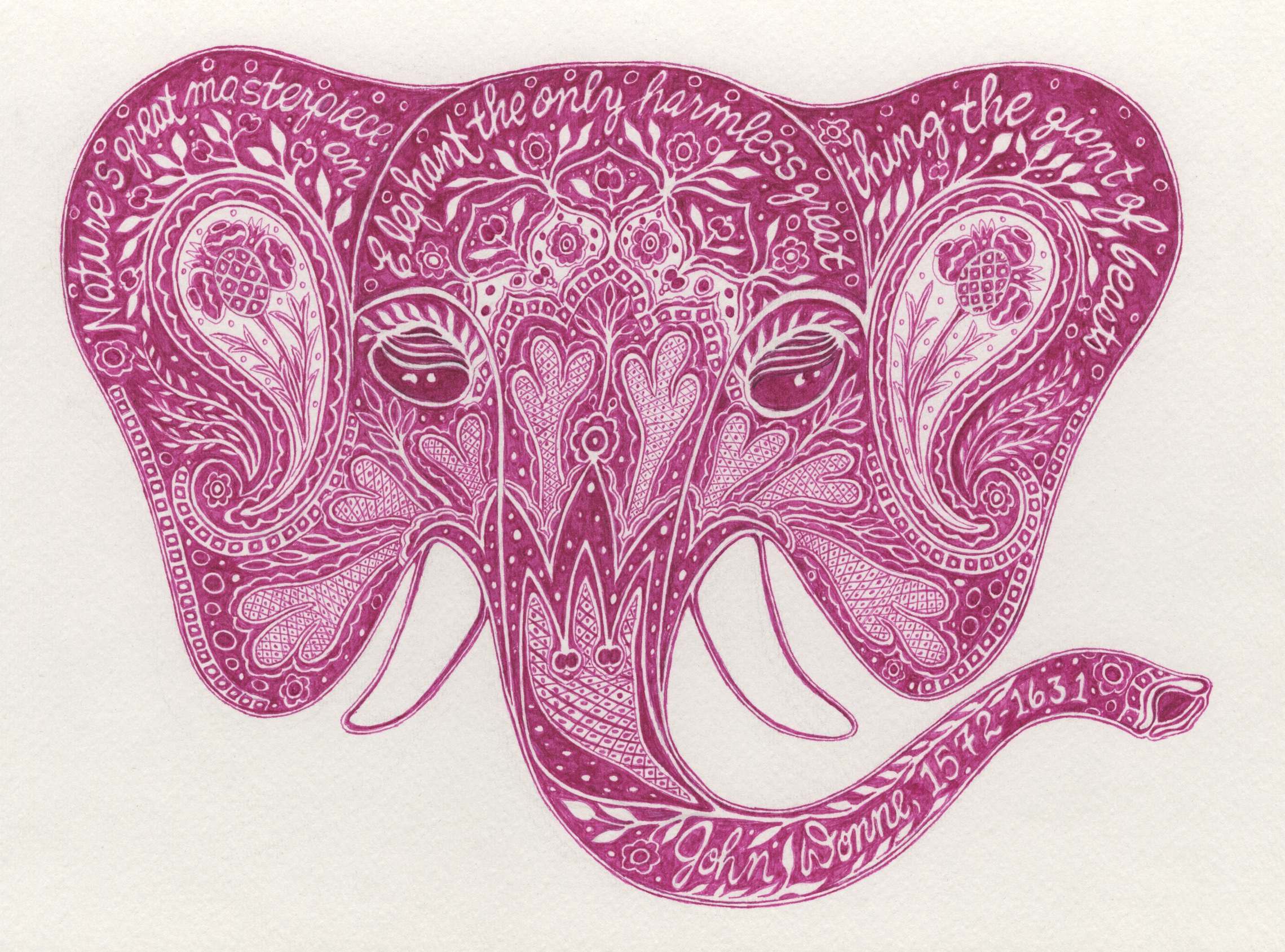 elephant